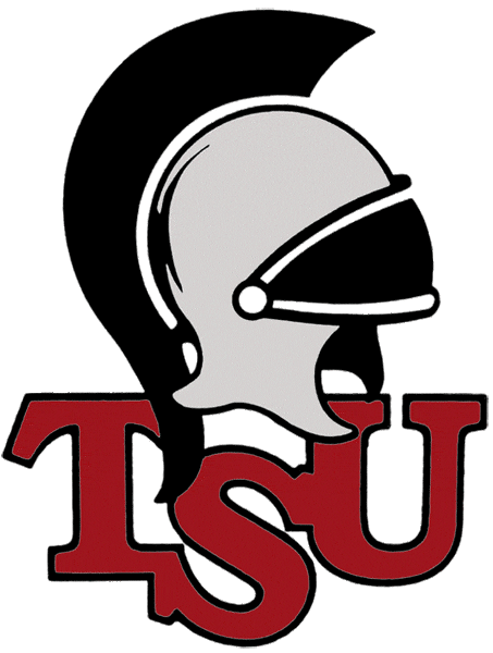 Troy Trojans 1993-2003 Primary Logo diy fabric transfers